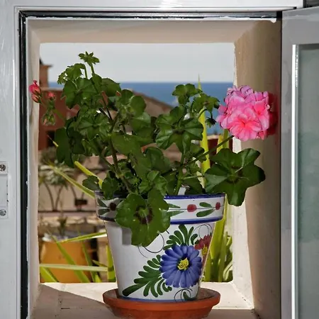 Cueva Con Vista * Alicante